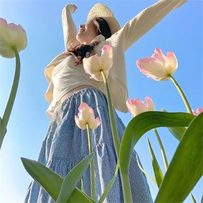 虫林大作战 海报