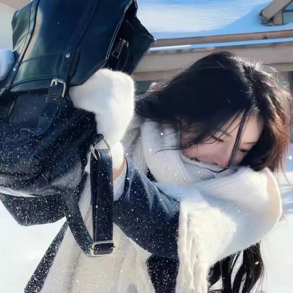 本色兵 海报
